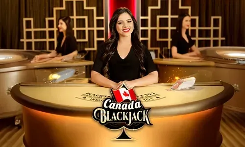 Bingoplus Live Dealer Games